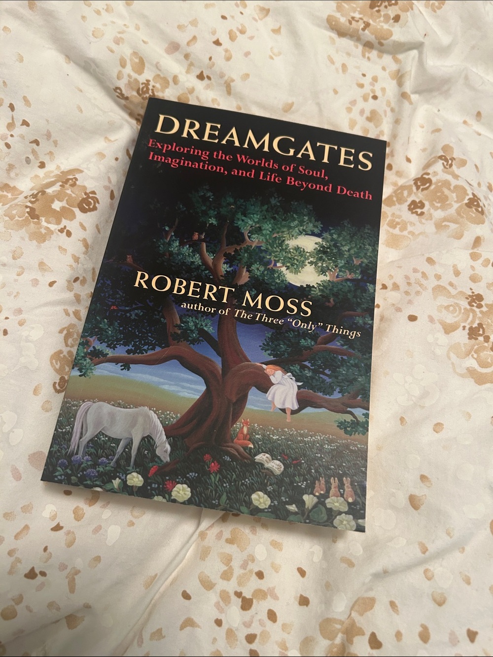 Dreamgates by Robert Moss